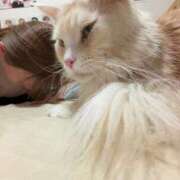 ヒメ日記 2026/02/21 21:39 投稿 りの なでし娘