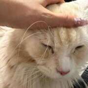 ヒメ日記 2026/02/22 05:57 投稿 りの なでし娘