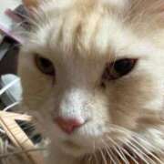 ヒメ日記 2026/02/23 06:16 投稿 りの なでし娘