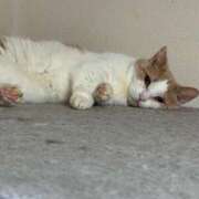 ヒメ日記 2026/02/24 07:27 投稿 りの なでし娘