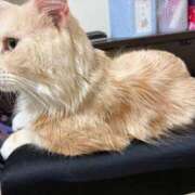 ヒメ日記 2026/02/25 14:55 投稿 りの なでし娘