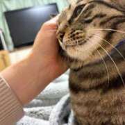 ヒメ日記 2026/02/25 22:33 投稿 りの なでし娘