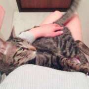 ヒメ日記 2026/02/25 22:49 投稿 りの なでし娘