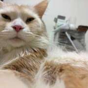 ヒメ日記 2026/02/26 09:32 投稿 りの なでし娘