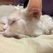 ヒメ日記 2026/02/27 05:44 投稿 りの なでし娘