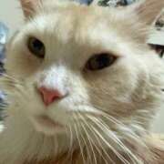 ヒメ日記 2026/02/28 06:17 投稿 りの なでし娘