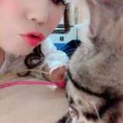 ヒメ日記 2026/02/28 16:40 投稿 りの なでし娘