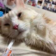 ヒメ日記 2026/02/28 23:04 投稿 りの なでし娘