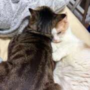 ヒメ日記 2026/03/01 08:39 投稿 りの なでし娘