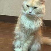 ヒメ日記 2026/03/02 00:21 投稿 りの なでし娘