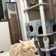 ヒメ日記 2026/03/02 12:33 投稿 りの なでし娘