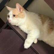 ヒメ日記 2026/03/06 22:13 投稿 りの なでし娘