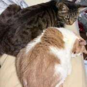 ヒメ日記 2026/03/08 01:41 投稿 りの なでし娘