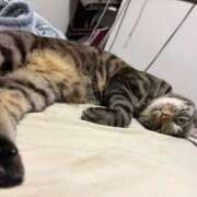 ヒメ日記 2026/03/08 06:16 投稿 りの なでし娘