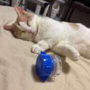 ヒメ日記 2026/03/09 01:29 投稿 りの なでし娘