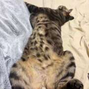 ヒメ日記 2026/03/09 13:35 投稿 りの なでし娘