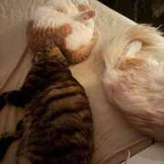 ヒメ日記 2026/03/15 11:13 投稿 りの なでし娘