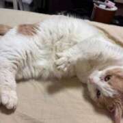 ヒメ日記 2026/03/16 07:43 投稿 りの なでし娘