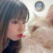 ヒメ日記 2026/03/20 23:04 投稿 りの なでし娘