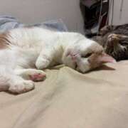 ヒメ日記 2026/03/22 07:03 投稿 りの なでし娘