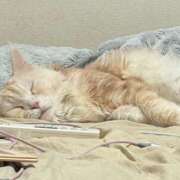 ヒメ日記 2026/03/25 12:29 投稿 りの なでし娘