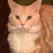 ヒメ日記 2026/04/02 12:08 投稿 りの なでし娘