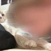 ヒメ日記 2026/04/03 23:17 投稿 りの なでし娘