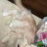 ヒメ日記 2026/04/16 14:34 投稿 りの なでし娘