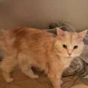 ヒメ日記 2026/04/16 14:48 投稿 りの なでし娘