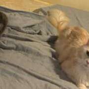 ヒメ日記 2026/04/17 09:15 投稿 りの なでし娘