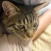 ヒメ日記 2026/04/18 08:06 投稿 りの なでし娘