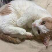 ヒメ日記 2026/04/19 00:51 投稿 りの なでし娘