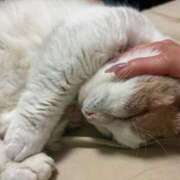 ヒメ日記 2026/04/19 06:11 投稿 りの なでし娘