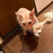 ヒメ日記 2026/04/19 12:51 投稿 りの なでし娘