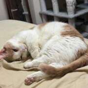 ヒメ日記 2026/04/24 05:46 投稿 りの なでし娘