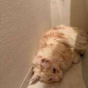 ヒメ日記 2026/05/02 08:10 投稿 りの なでし娘