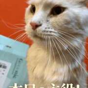 ヒメ日記 2026/06/15 11:44 投稿 りの なでし娘
