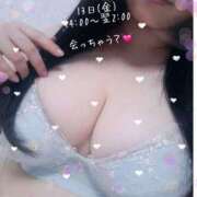 ヒメ日記 2024/12/13 15:05 投稿 ふたば 所沢東村山ちゃんこ