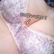 ヒメ日記 2024/12/14 13:34 投稿 ふたば 所沢東村山ちゃんこ