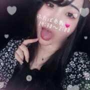 ヒメ日記 2024/12/29 19:35 投稿 ふたば 所沢東村山ちゃんこ