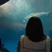 ヒメ日記 2025/01/31 23:55 投稿 ゆずは クンニ専門店 おクンニ学園 池袋校