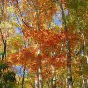 ヒメ日記 2025/10/16 09:40 投稿 ましろ ストロベリーハウス