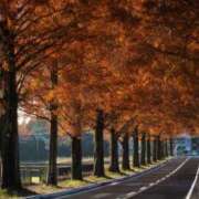 ヒメ日記 2025/11/10 12:21 投稿 ましろ ストロベリーハウス