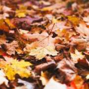 ヒメ日記 2025/11/19 21:20 投稿 ましろ ストロベリーハウス