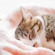 ヒメ日記 2025/12/31 00:20 投稿 ましろ ストロベリーハウス