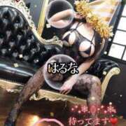 ヒメ日記 2024/12/17 15:22 投稿 はるな 熟女の風俗最終章 池袋店