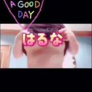 ヒメ日記 2025/03/01 08:22 投稿 はるな 熟女の風俗最終章 池袋店