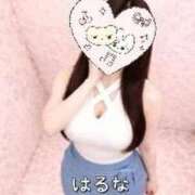 ヒメ日記 2026/07/19 14:11 投稿 はるな 熟女の風俗最終章 池袋店