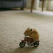 ヒメ日記 2025/12/13 01:38 投稿 さゆ ダイスキ