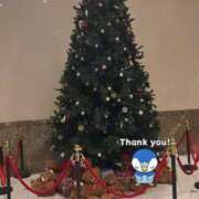 ヒメ日記 2024/12/14 00:30 投稿 はに♡奇跡の逸材・天使降臨♡ 即生専門店ゴッドパイ